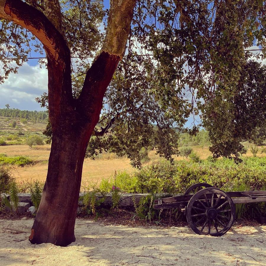 Отель Quinta Da Corga Prova Экстерьер фото