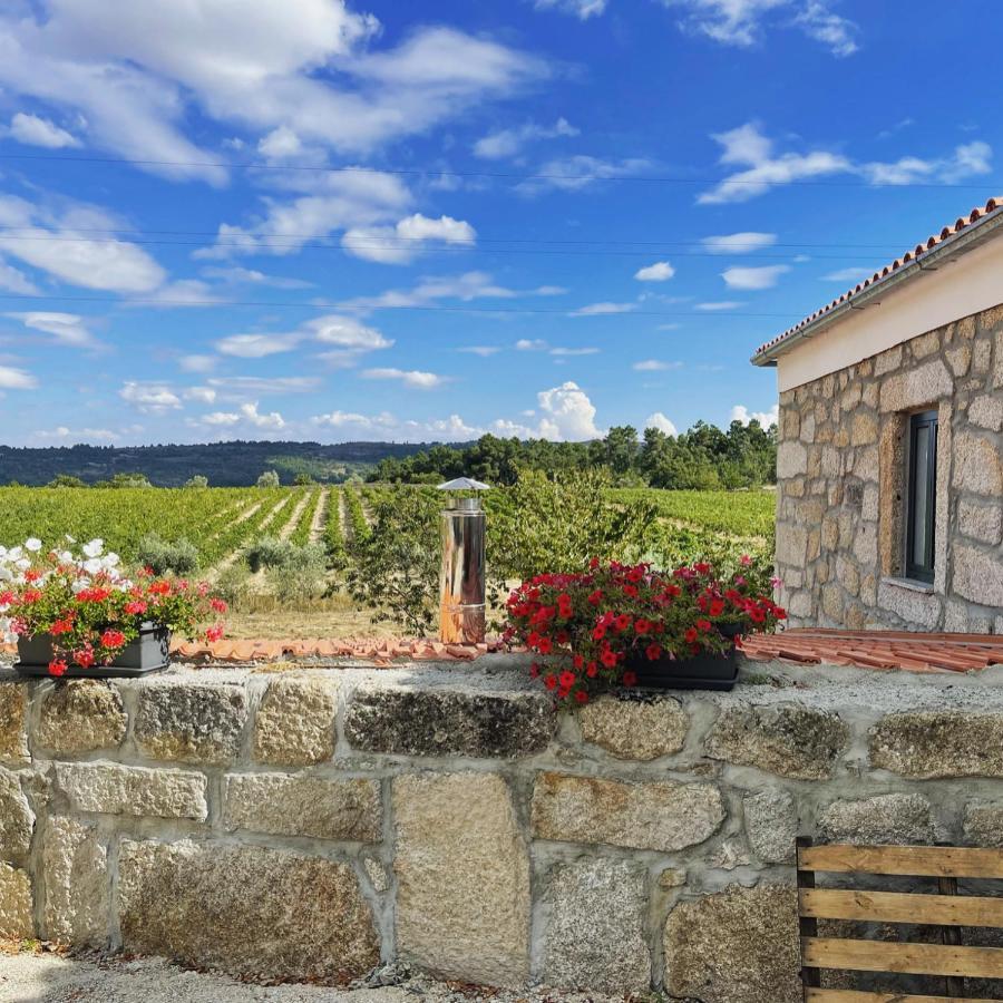 Отель Quinta Da Corga Prova Экстерьер фото